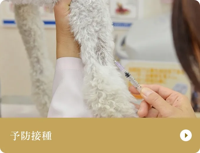 予防接種