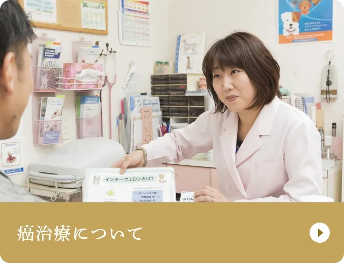 癌治療について