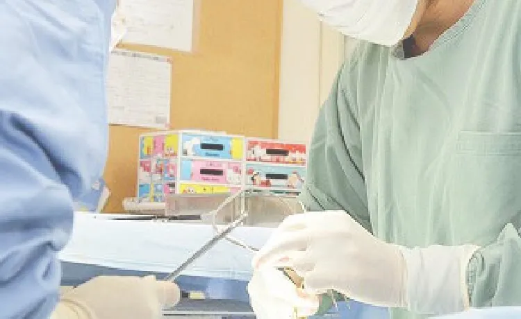 飼い主様に対する心身の癒しを提供します