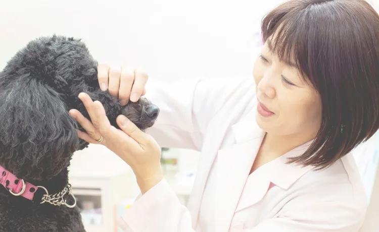 私たちは明るく楽しい職場作りを目指します