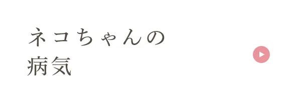 ネコちゃんの病気
