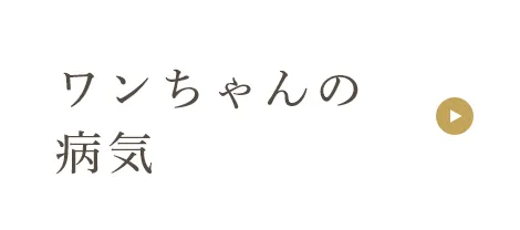 ワンちゃんの病気