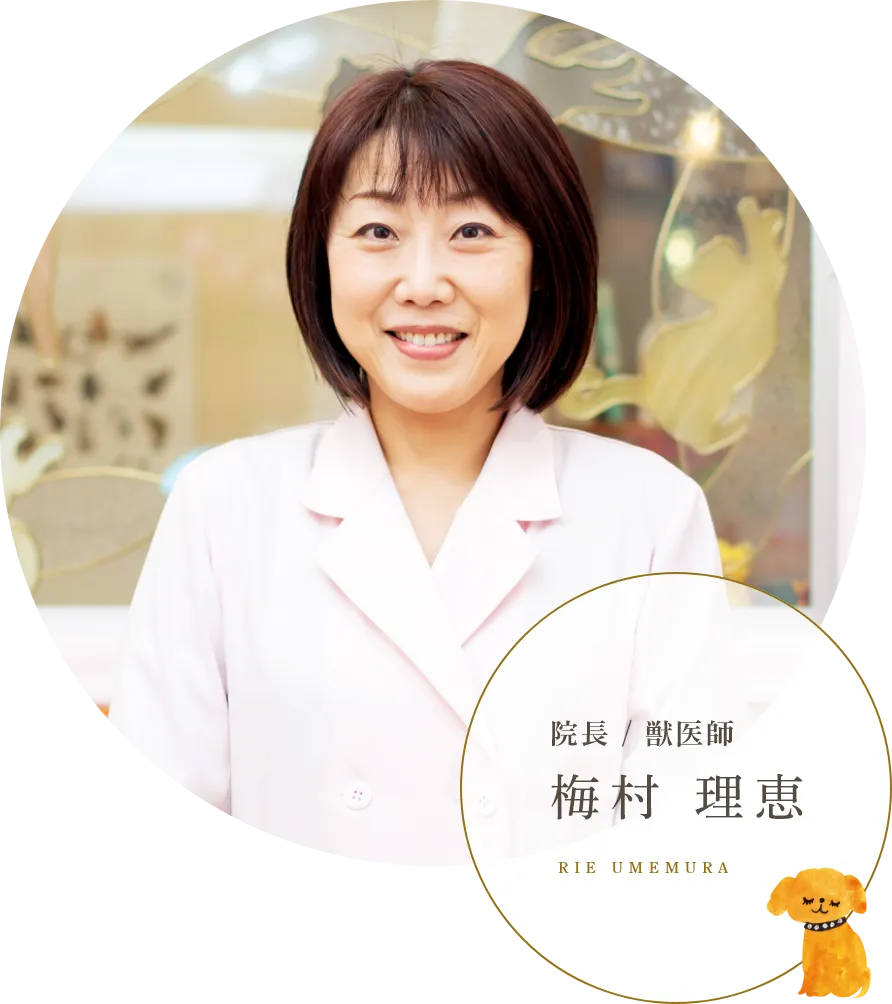 院長 / 獣医師梅村 理恵 rie umemura