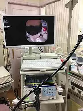 OLYMPUS 動物用内視鏡システム