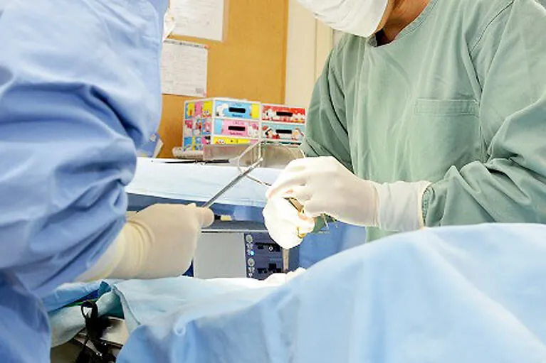 当院では、犬・猫・ウサギの去勢・不妊手術を行っています。