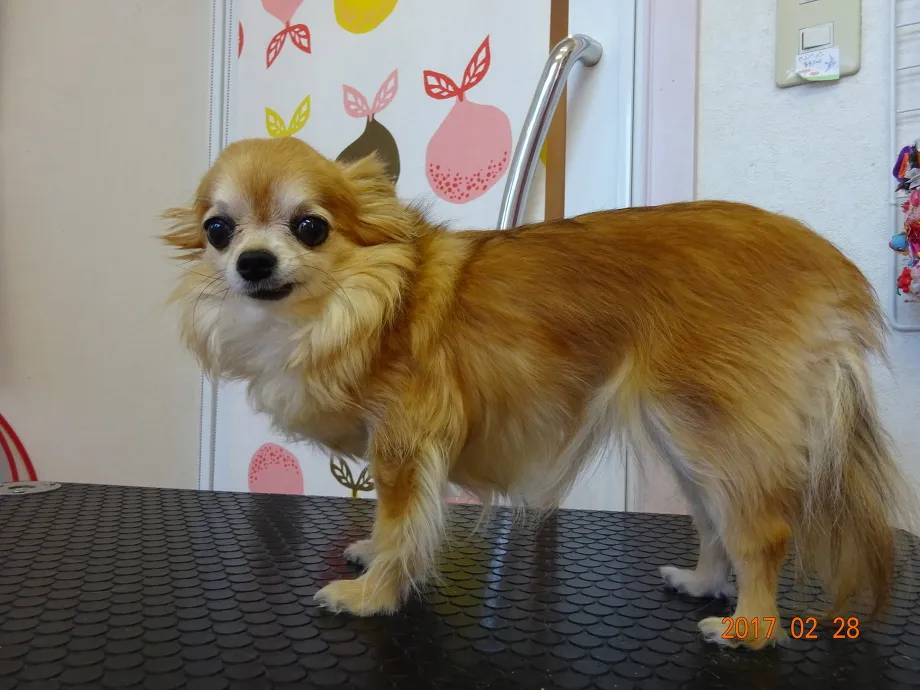 施術例１（永田きょん）