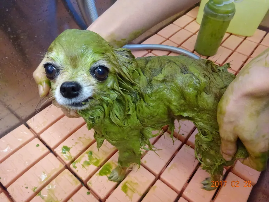 施術例１（永田きょん）