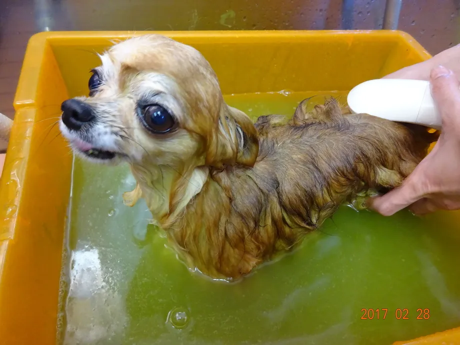 施術例１（永田きょん）