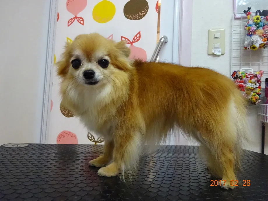 施術例１（永田きょん）