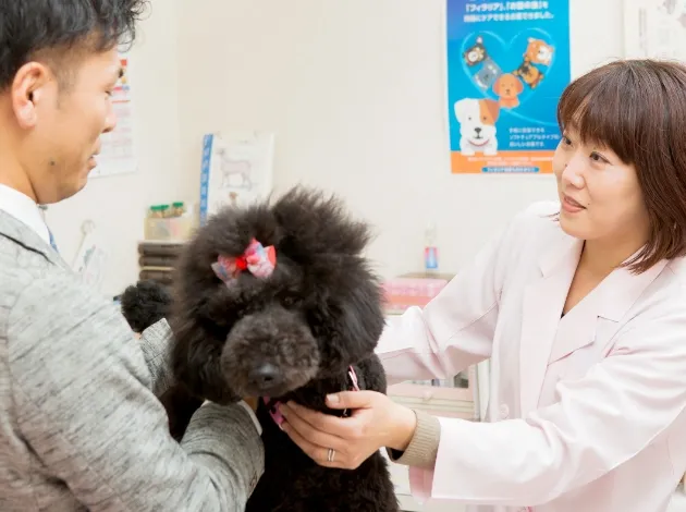 自分で歯石取りはできますか?