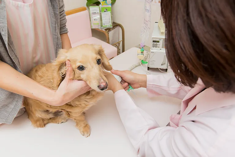 高濃度ビタミンC点滴療法
