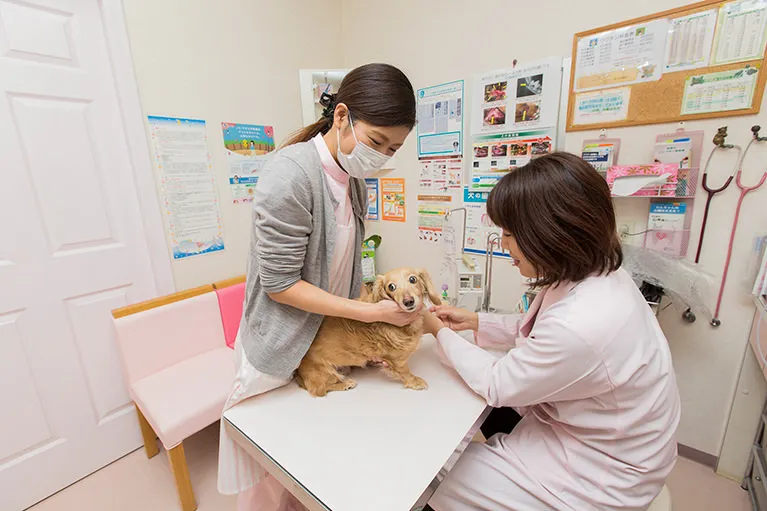 定期的な健康診断