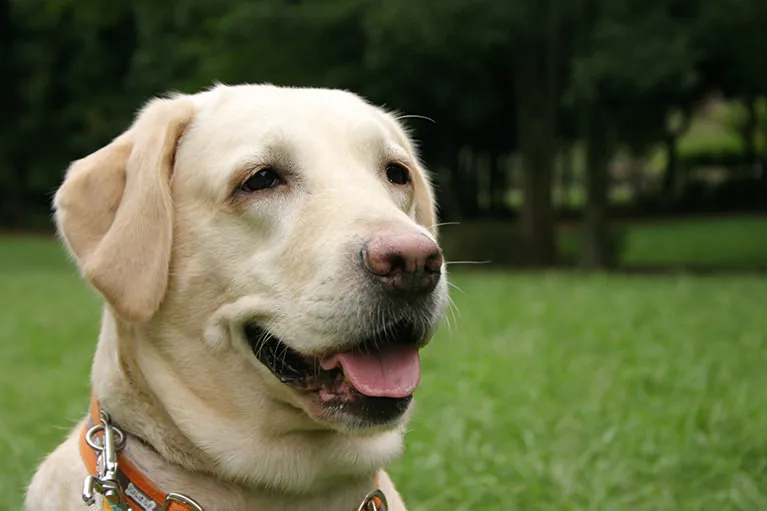 最期を看取る覚悟