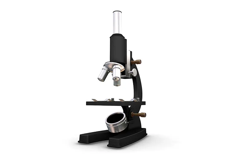 フィラリア(犬糸状虫)症