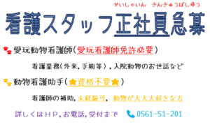 正社員　緊急募集